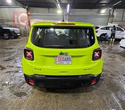 جيب رينيجيد